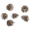 6er Set Tannenzapfen Metallic, Champagner