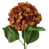 Hortensie Antik, Braun, 70 Cm