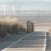 Jumboposter Dunes, Nr. 1