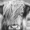 Jumboposter Highlander Landscape, Nr. 38