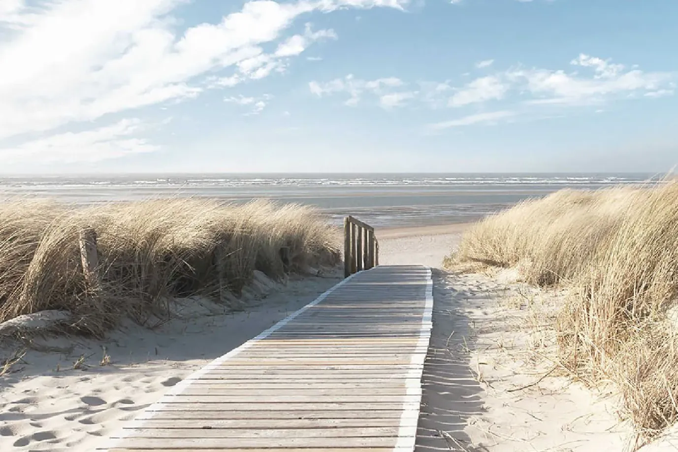 Poster Dunes, Nr. 158