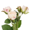 Rose Alina, 3 Blüten/rosa, 38 Cm
