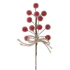 Stecker Beeren/Eis, Fein