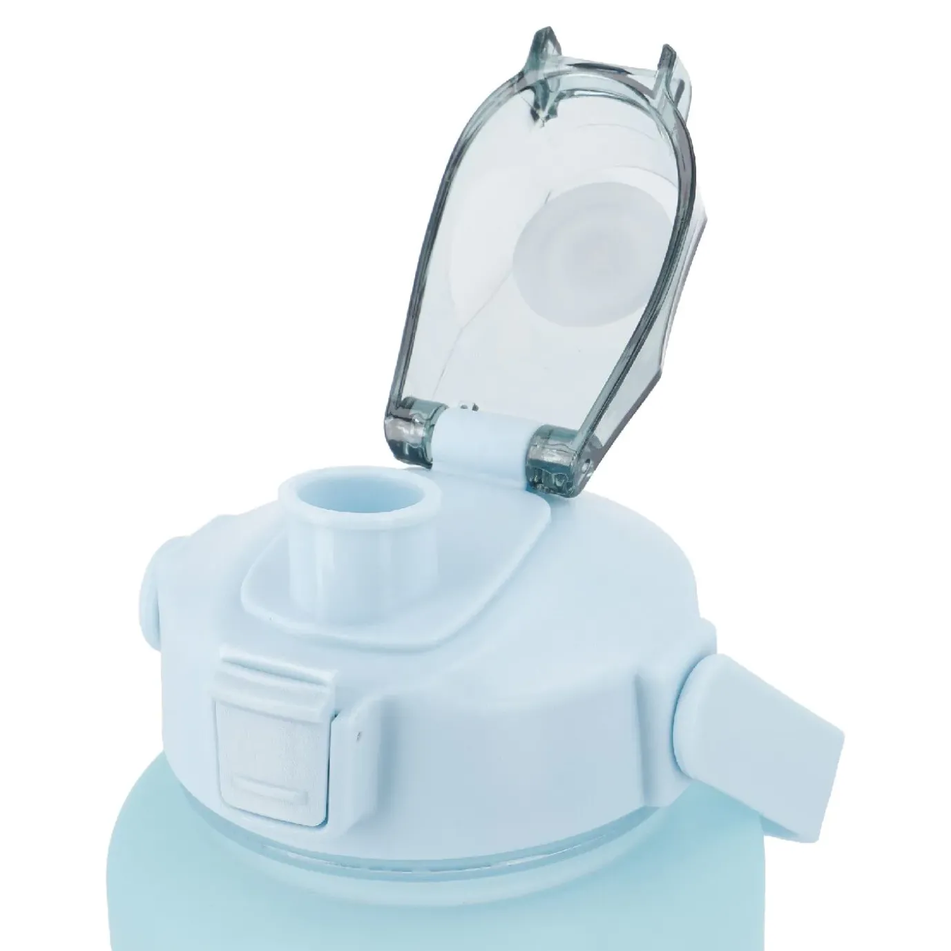 Trinkflasche Motivation, Grün-lila, 2 L